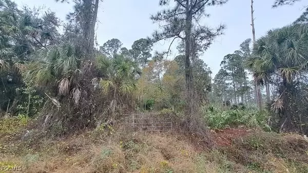 Clewiston, FL 33440,770 S Jinete ST