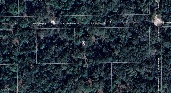 7248 W Citruswood DR, Dunnellon, FL 34433