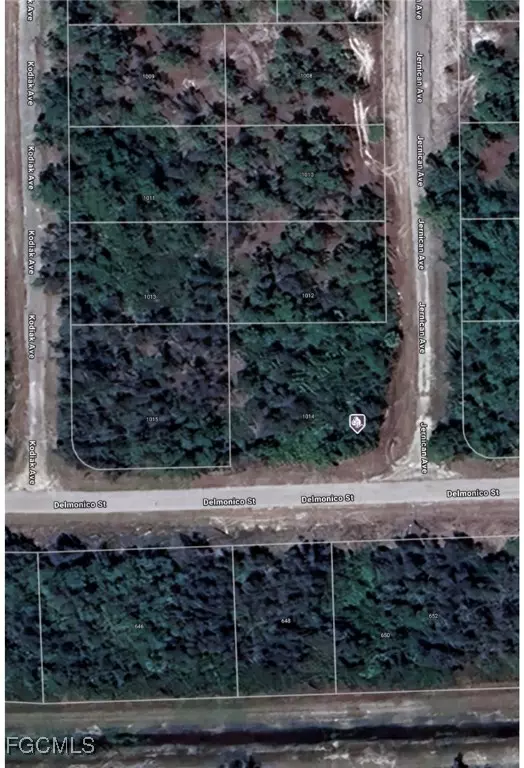 Lehigh Acres, FL 33936,1014 Jernican AVE