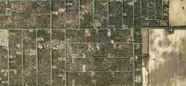Dunnellon, FL 34431,1806-002-033 SW Papaya LN