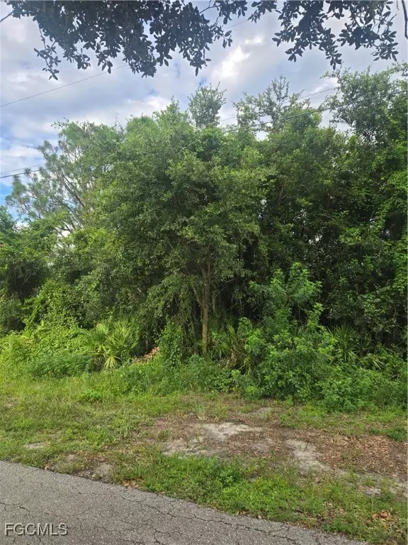 Lehigh Acres, FL 33976,1507 Tena AVE S