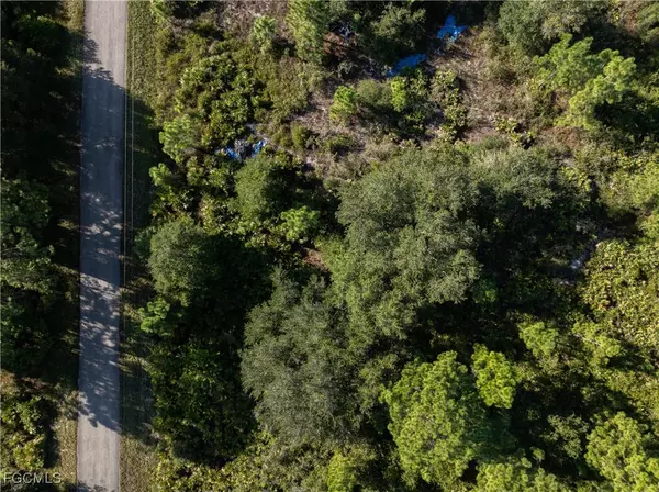 Lehigh Acres, FL 33972,1503 Acacia AVE