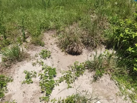 Labelle, FL 33935,Saturn CT