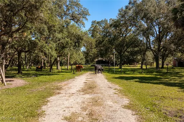 Labelle, FL 33935,1400 Catamount RD