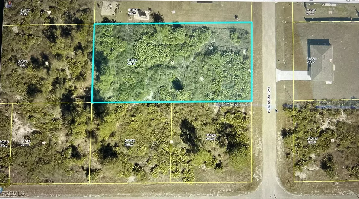 Lehigh Acres, FL 33972,1303 Hibiscus AVE