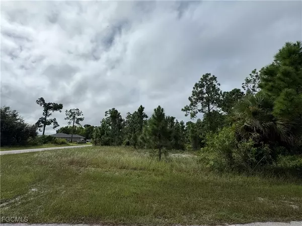Lehigh Acres, FL 33974,1254 Egbert ST E