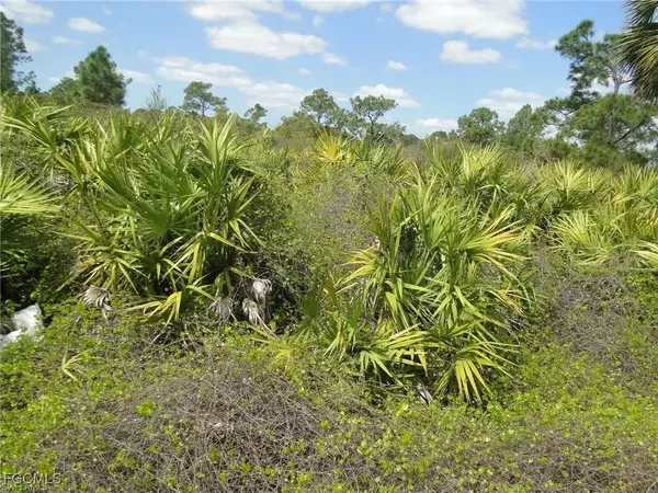 Lehigh Acres, FL 33971,5902 Queen AVE N