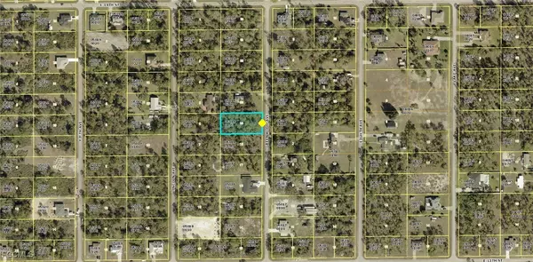 Lehigh Acres, FL 33972,1313 Greenwood AVE