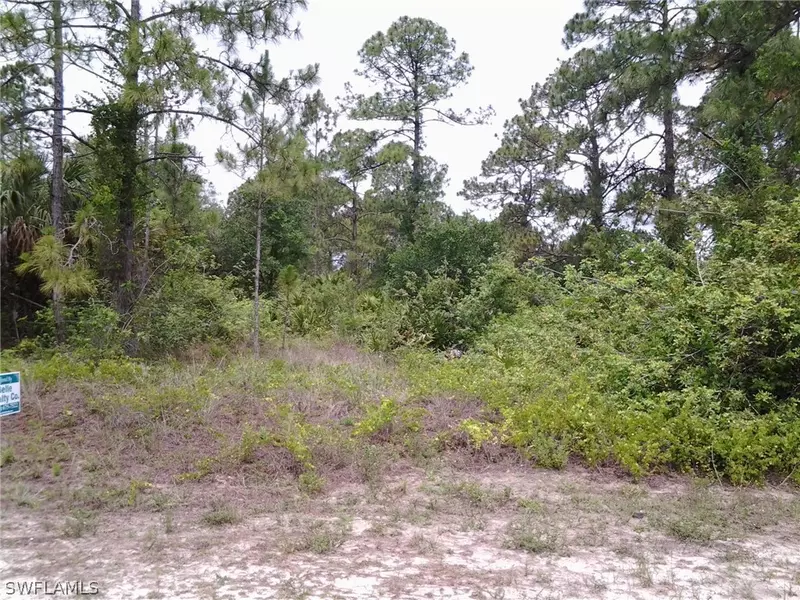 1201 Wells AVE, Lehigh Acres, FL 33972