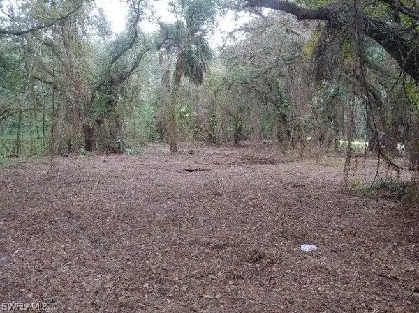 2351 Bee Branch Lakes DR, Labelle, FL 33975