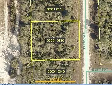 2901 Louis AVE, Alva, FL 33920