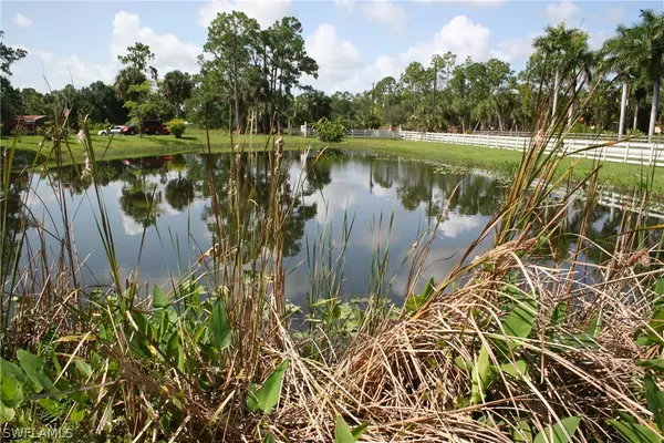 Fort Denaud, FL 33935,2155 Phillips RD