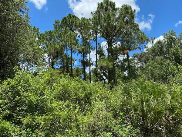 North Port, FL 34288,Red Oak RD