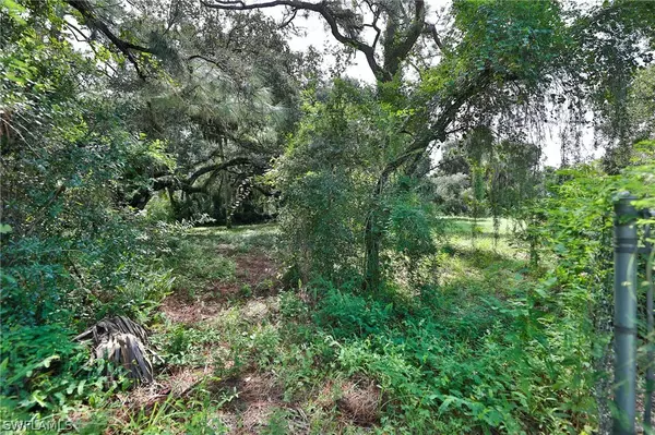 Alva, FL 33920,21910 N River RD