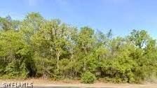 Other, FL 34473