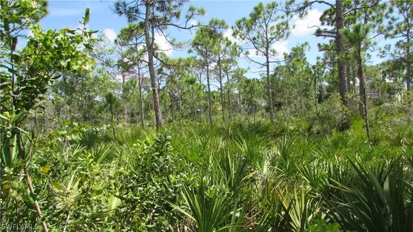 St James City, FL 33956,5287 Fairbanks DR