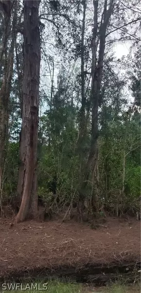 3489 Mango ST, St James City, FL 33956