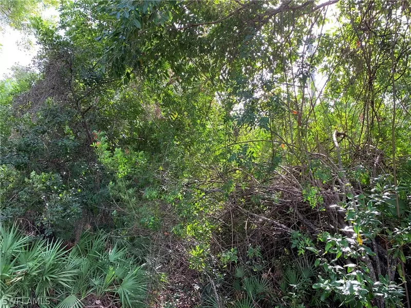 Papaya AVE, Bokeelia, FL 33922