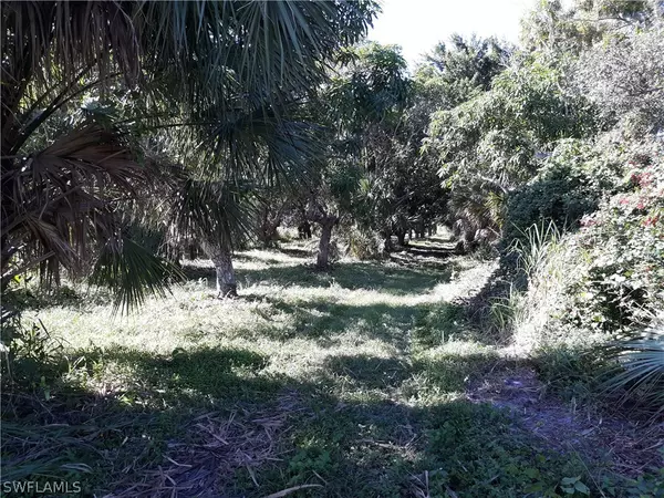 Bokeelia, FL 33922,15551 Quail TRL