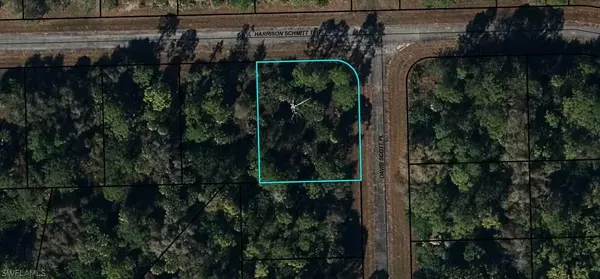 830 Harrison Schmitt TER, Other, FL 33935