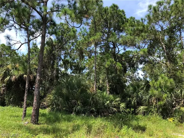 Labelle, FL 33935,8013 Van CT