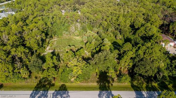 24742 Rodas DR, Bonita Springs, FL 34135