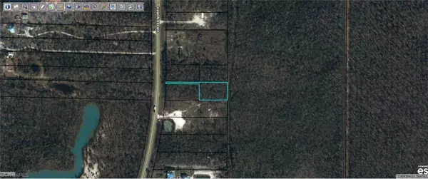 Wewahitchka, FL 32465,County Rd 386