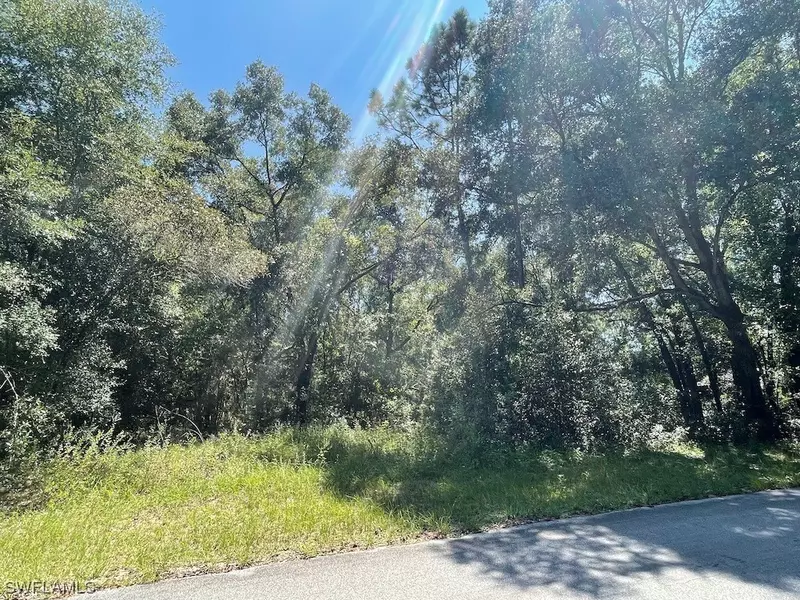 SW 197TH CIR, Other, FL 34432