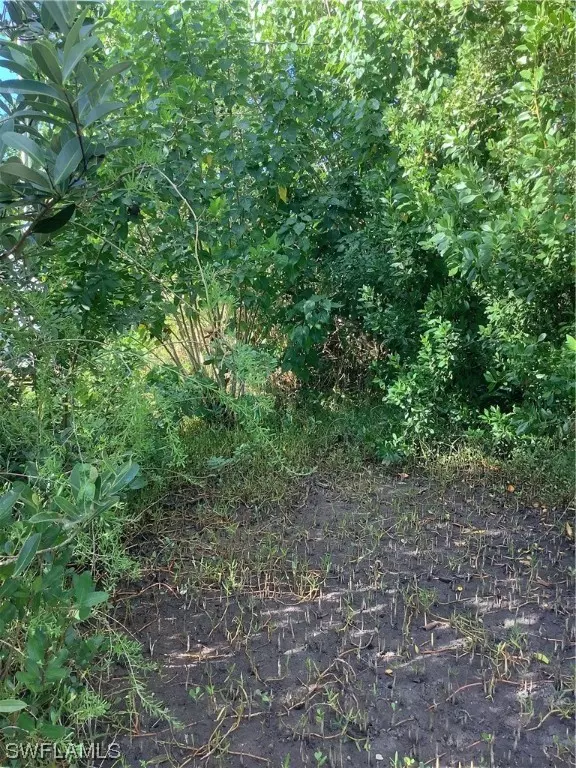 Everglades City, FL 34139,12 W Pelican ST