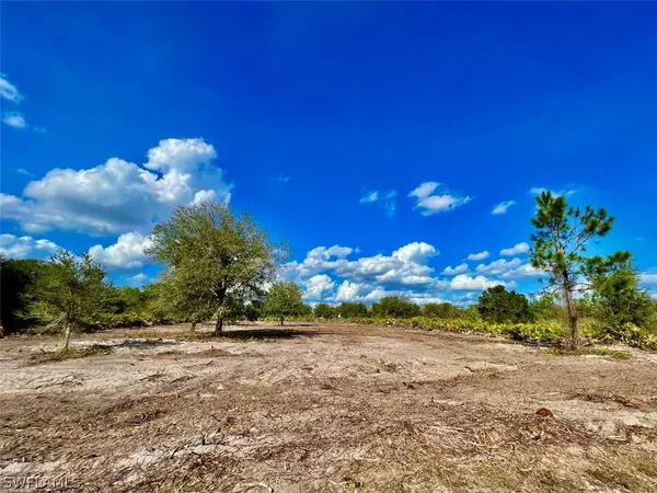 Other, FL 33935,7824 20th TER