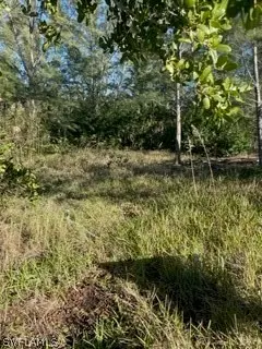 2630 Bamboo ST, St James City, FL 33956