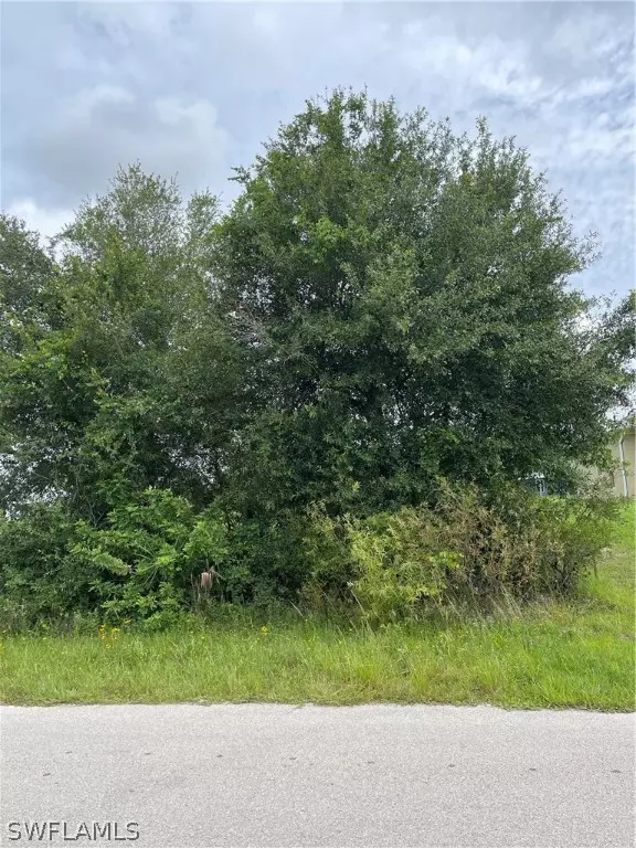 Lehigh Acres, FL 33972,1970 Quintero LN