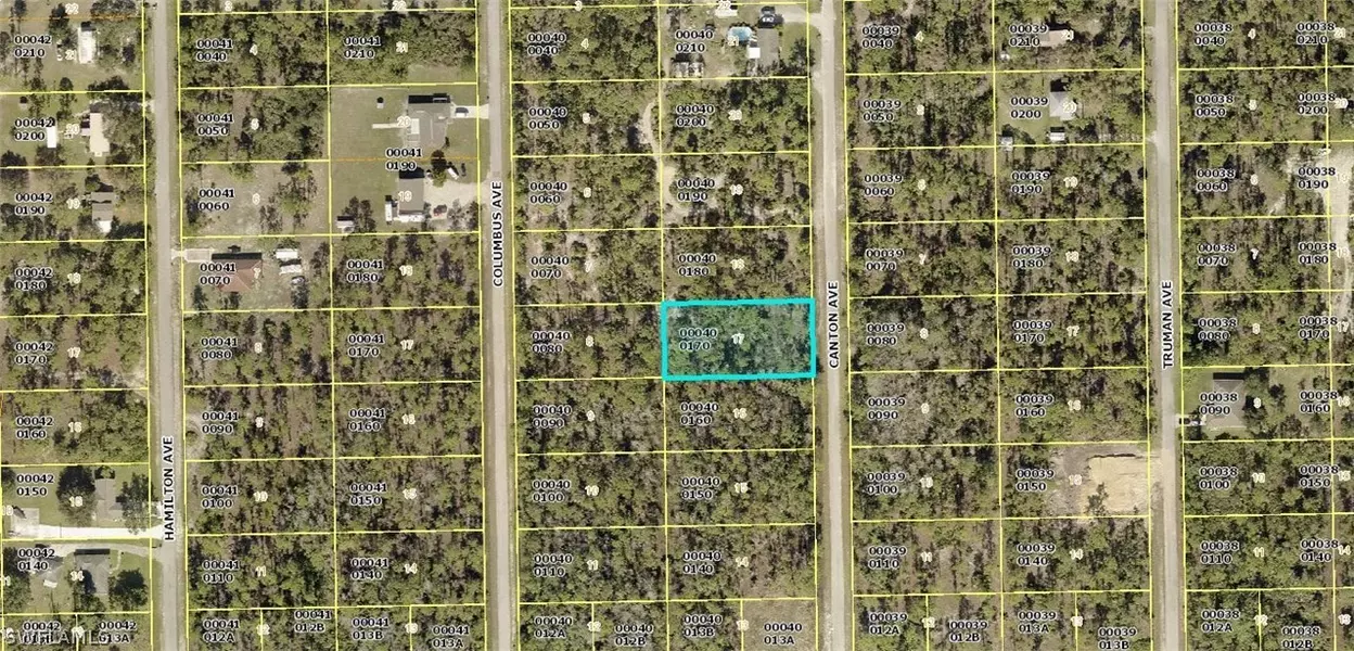 2309 Canton AVE, Alva, FL 33920