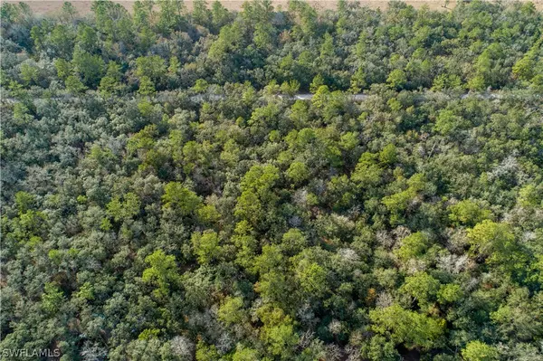 Branford, FL 32088,SE Wild Turkey RD SE