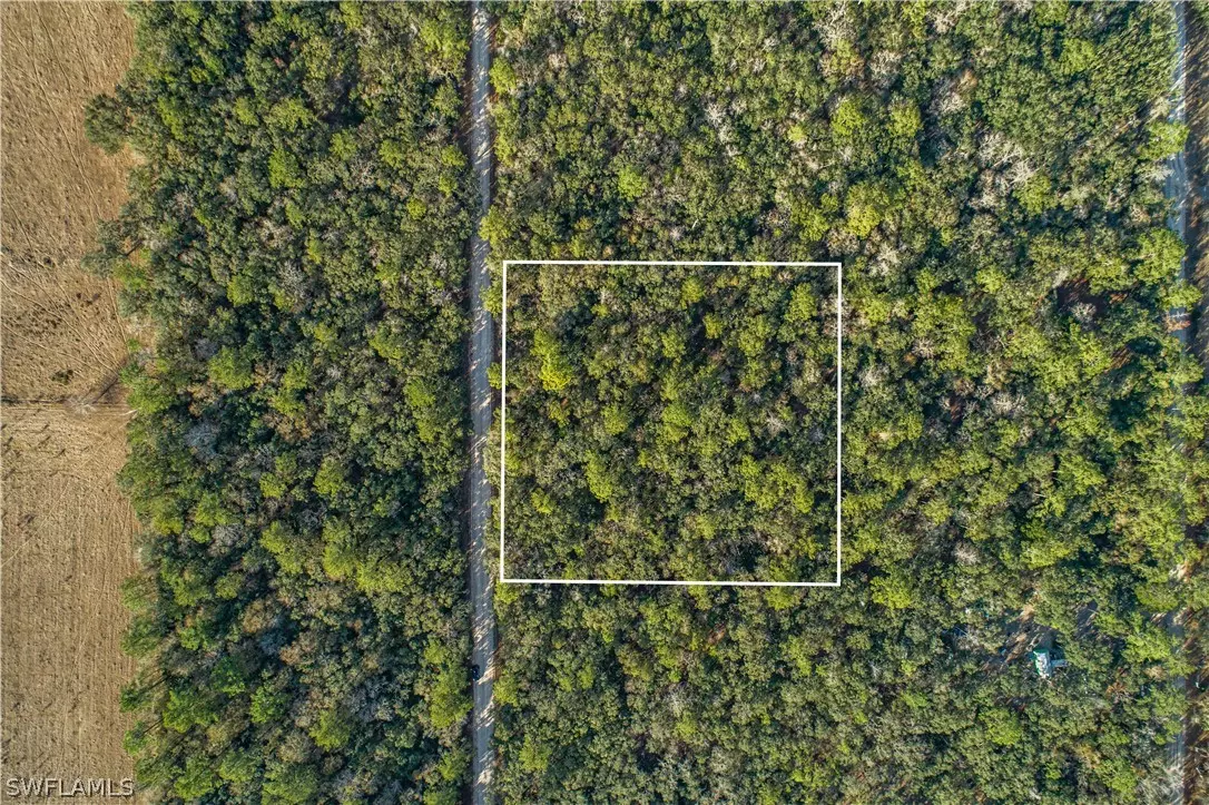 Branford, FL 32088,SE Wild Turkey RD SE