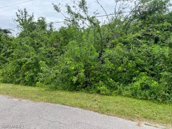 Lehigh Acres, FL 33976,3006 39th ST SW