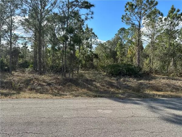Lehigh Acres, FL 33972,405 Wellington AVE