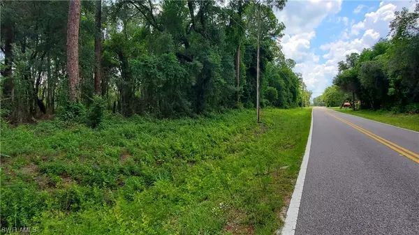 Webster, FL 33597,35107 Richardson BLVD