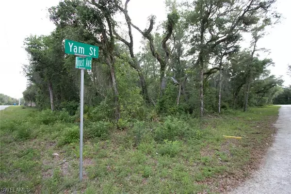 Webster, FL 33597,6425 Yam ST