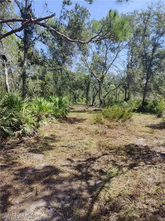 Arcadia, FL 34266,SW Horse Creek RD