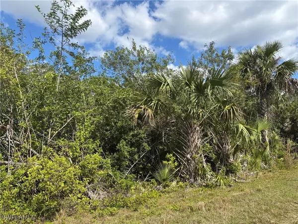 Naples, FL 34117,41617360008 36TH AVE SE