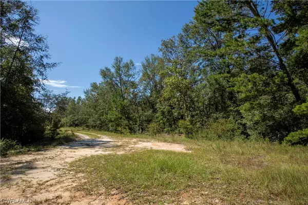 Lee, FL 32059,NE JUDAS TRL