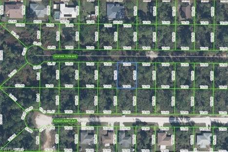 330 Caspian Tern AVE, Sebring, FL 33872