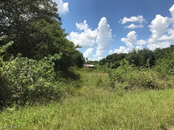 Lehigh Acres, FL 33972,1811 Grant AVE