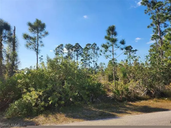 Lehigh Acres, FL 33974,1059 Fayette AVE