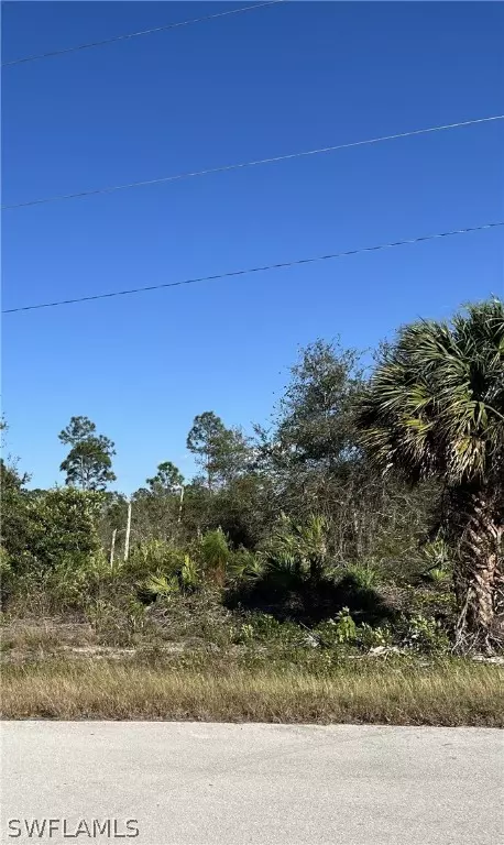 Lehigh Acres, FL 33974,845 Ferndale AVE S