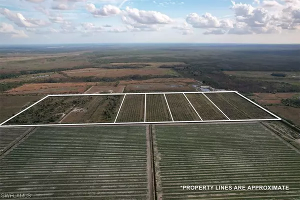 Estero, FL 33928,21987 Carter RD