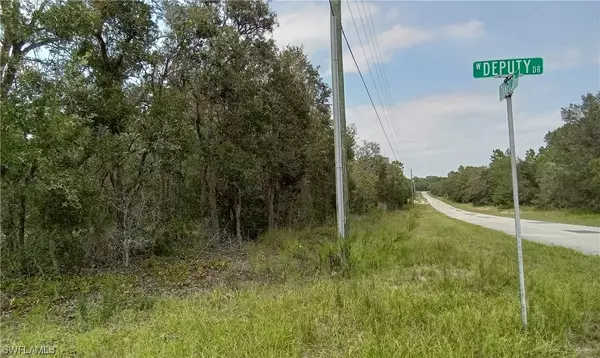 Beverly Hills, FL 34465,4939 W DEPUTY DR