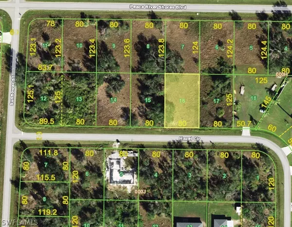 Punta Gorda, FL 33982,320 Hazel CIR