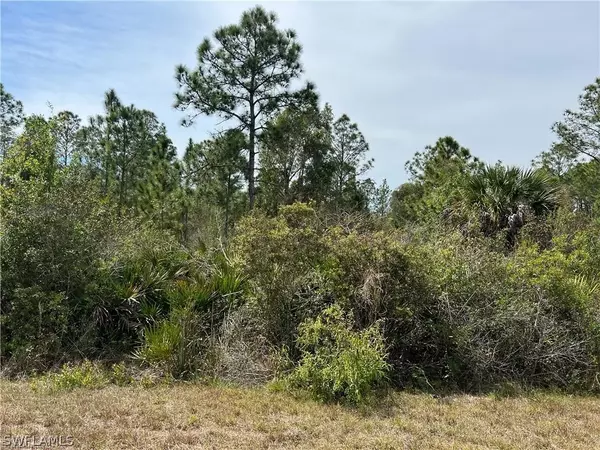 2114 Oceano ST, Lehigh Acres, FL 33972